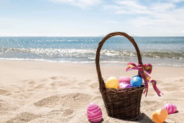 20240213134319_258_b66f3977-2e51-475a-b705-d4be956c11c8